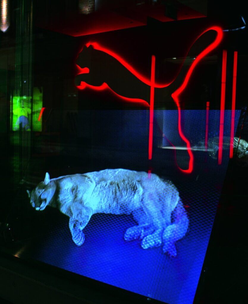 brand store design puma case study