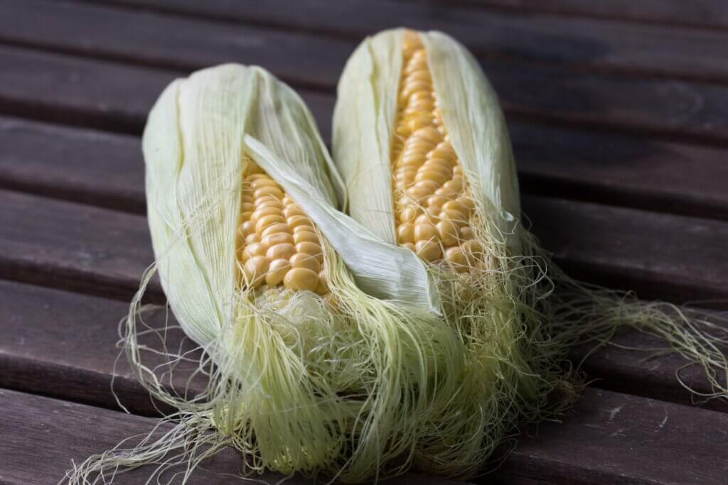sustainable sourcing corn fibrle