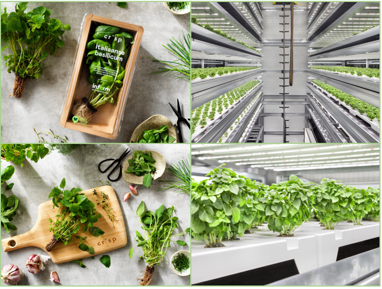 a pictures with 4 pictures showing herb vertical farming, as well as the herbs in packaging
