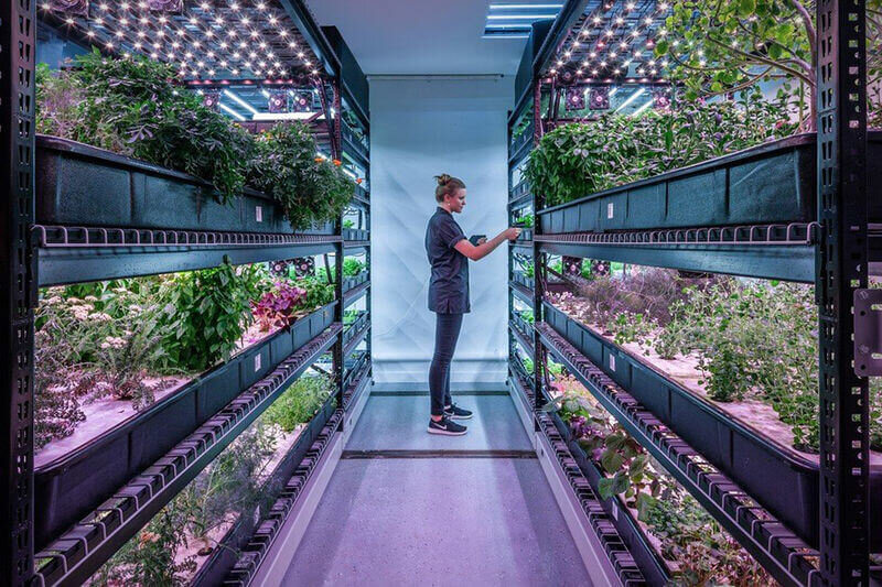 Urban Farm.one in NYC (Photo: trendhunter.com)